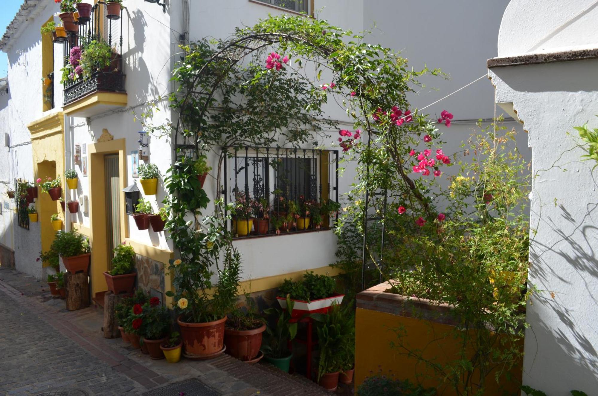 Finca El Molino De Aceite Jubrique Exteriör bild