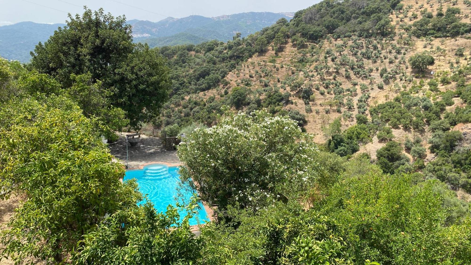 Finca El Molino De Aceite Jubrique Exteriör bild